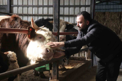 Sakarya'da Kurbanlık Telaşı: Erken Alımlar Fiyat Avantajı Sağlıyor