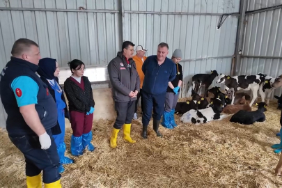 Tekirdağ'da Buzağı Ölümlerini Önlemek İçin Uygulamalı Eğitim