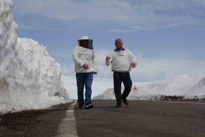 2.581 Rakımda Arılı Protesto