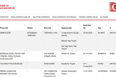 Gıdada Büyük Skandal: Bakanlık Listeyi Güncelledi, Çok Sayıda Üründe Hile Tespit Edildi