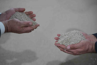 Küresel Krize Yerli Yanıt: Türkiye Gübrede Kendine Yetiyor