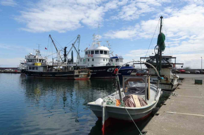 Balıkta Bolluk Yılı: Tezgahlar Doldu