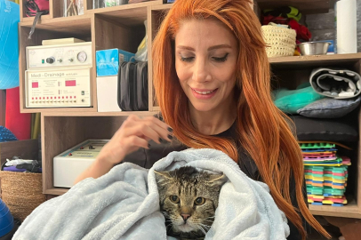 Ankara'da Engelli 3 Sokak Kedisi Yeniden Yürümeye Başladı