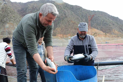 Erzurum'da Kafes Balıkçılığıyla 300 Ton Üretim Hedefi