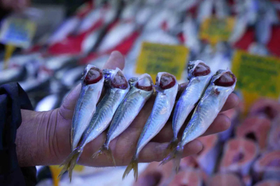 Av Yasağına Doğru İstavritin Kilosu 70 TL'ye Geriledi