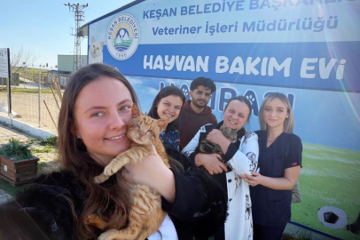 Engelli Kediler Portakal ve Miniço'ya Sıcak Yuva