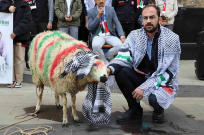 12 Yaşındaki Ecrin'in Kuzusu Gazze'ye Umut Oldu