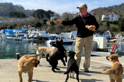 Ordu'da Emekli Balıkçı Sokak Köpeklerinin Can Dostu Oldu