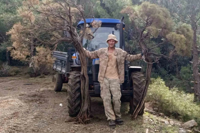 Marmaris'te Kuruyan Geven Otları Sanata ve Gelire Dönüşüyor