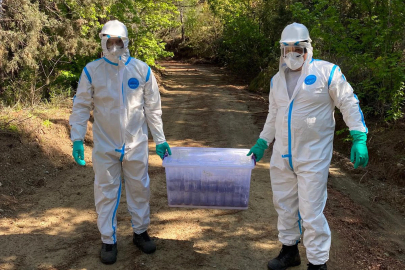 Marmaris'te Çam Kese Böceğine Karşı Terminatör Böcek Salındı