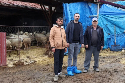 20 Hayvanla Başladı, 9 Yılda 400 Başlık Sürü Kurdu