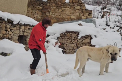 Erzincan’da hava soğudu, yüksek kesimlere kar yağdı