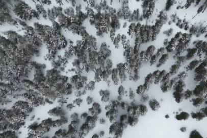 Kars'ta Nisan Ayında Kar Esareti: Zirai Don ve Çığ Uyarısı