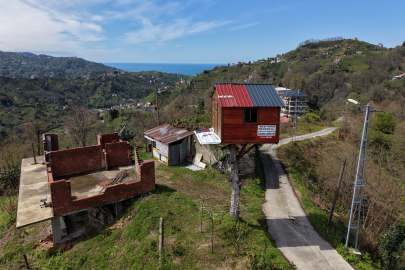 Rize'de 25 Yıllık Hayal Gerçek Oldu: Ceviz Ağacına Ev Yaptı