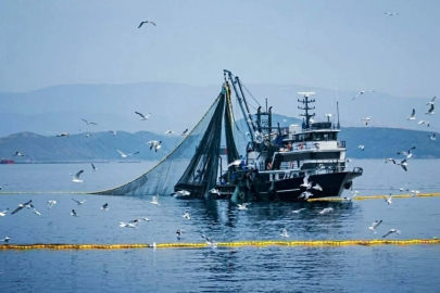 Denizlerde Trol ve Gırgır Av Yasağı 15 Nisan'da Başlıyor