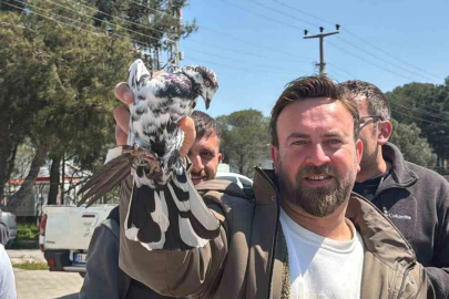 Mustafakemalpaşa'da 600 Güvercin Gökyüzüne Salındı