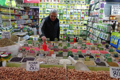 Pandemi ve Deprem Sonrası Fide ve Tohum Satışları Patladı