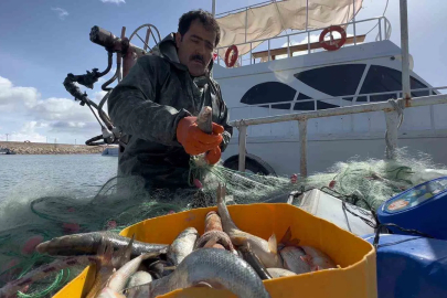 Van Gölü'nde İnci Kefali Av Yasağı Bu Gece Başlıyor