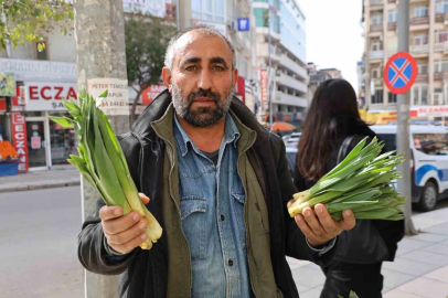 Doğal Antibiyotik Çiriş Otu Elazığ'da Tezgahlara İndi