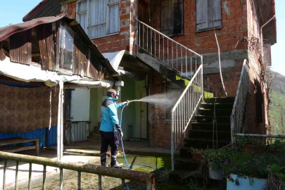 Trabzon'da Kahverengi Kokarcaya Karşı Büyük Taarruz