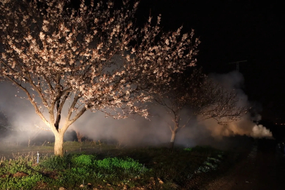 Malatya'da Zirai Dona Karşı Saman Balyalı Önlem