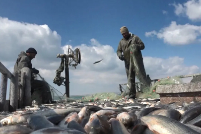 Van Gölü'nde İnci Kefali Av Yasağı Başladı