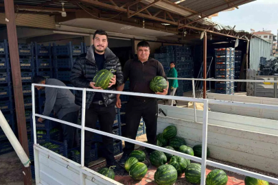 Serik'te İlk Karpuz Hasadı: Üreticiden İthalat Tepkisi