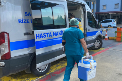 96 Yaşındaki Refiye Nine, Karaciğeriyle Hayat Verdi