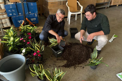 Bitkilerden Elektrik Üreten Biyopil Projesi