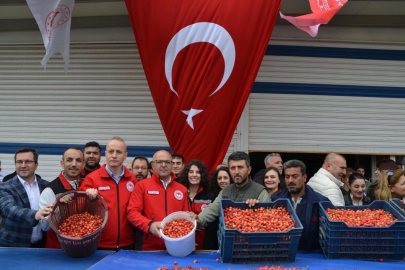 Sezonun İlk Kirazı Kilosu 6 Bin TL'den Satıldı