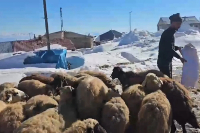 Süphan Dağı Eteklerinde Nisan Ayında 3 Metre Kar