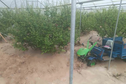 Mersin’de sağanak sele yol açtı: Yol çöktü, seralar zarar gördü
