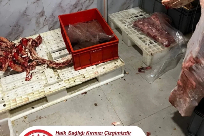 Hijyen kurallarının hiçe sayıldığı işletmeye 300 bin liranın üzerinde ceza

