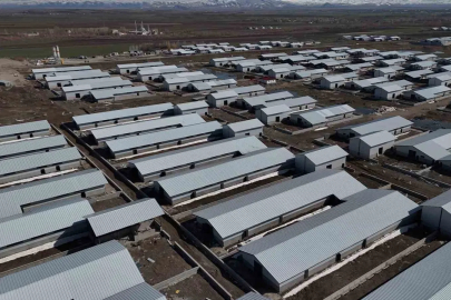 Ağrı'da Modern Hayvancılık Üssü Yükseliyor: "Ahırlar Projesi"