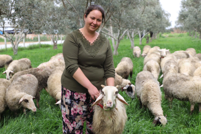 Hediye Kuzuyla Başladı: 165 Küçükbaşlık Çiftlik Kurdu