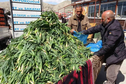 Van'da Şifa Kaynağı Çiriş Otu Tezgaha Çıktı