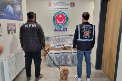 Edirne ve İstanbul'da 378 Milyon TL'lik Uyuşturucu Operasyonu