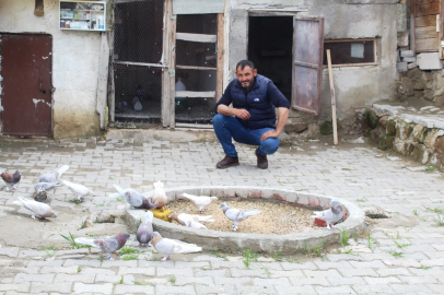 Kayserili Ahmet Usta'nın 35 Yıllık Taklacı Güvercin Tutkusu