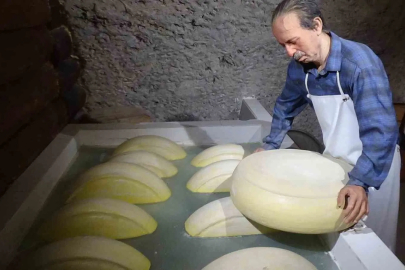 Silifke'de Tescilli Çilek Hasadı Başladı: Hedef 60 Bin Ton