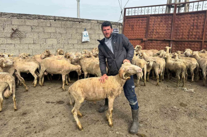 Bursalı Genç Besicinin Kurban Bereketi: Önce Düğün Şimdi Bebek