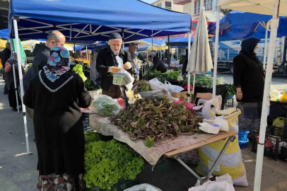 Düzce Pazarlarında Baharın Şifası: Kaldirik Otu