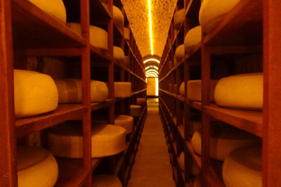 Türkiye'nin İlk Peynir Müzesi Kars'ta Turistlerin İlgi Odağı