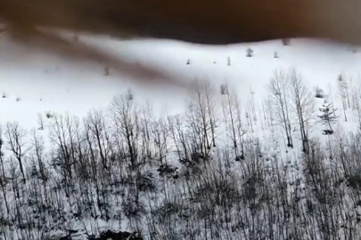 Kartal, dronu kaptı