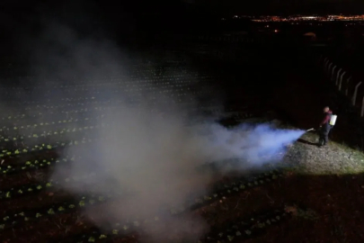 Erzincan'da Çiftçilerin Dona Karşı Dumanlı Nöbeti