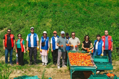 81 İlde Gençler Tarlaya İniyor: 2026 Hasat Takvimi Belli Oldu