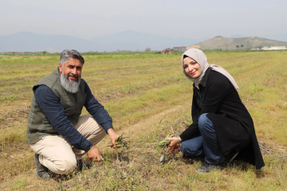 İzmir Kuşkonmaz Üretiminde Zirveyi Hedefliyor
