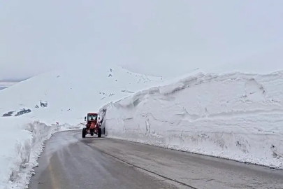 Bahar Ayında 8 Metrelik Kar Esareti: O Geçide Tünel Şart Oldu!