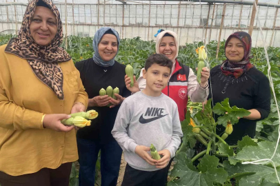 Antalyalı Kadın Üretici Mini Kabakla Avrupa Pazarına Girdi