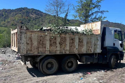 Rize'de Çevre Katliamı: Belediyeye 2,3 Milyon Lira Çöp Cezası