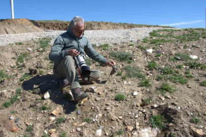 Türkiye'de 17 Yeni Memeli Türü Keşfedildi: Hepsi Anadolu'ya Özgü